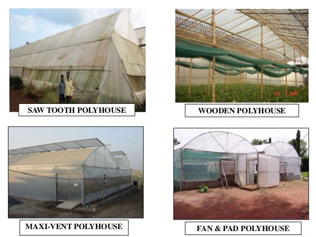 Poly house project in haryana Poly house project in haryana